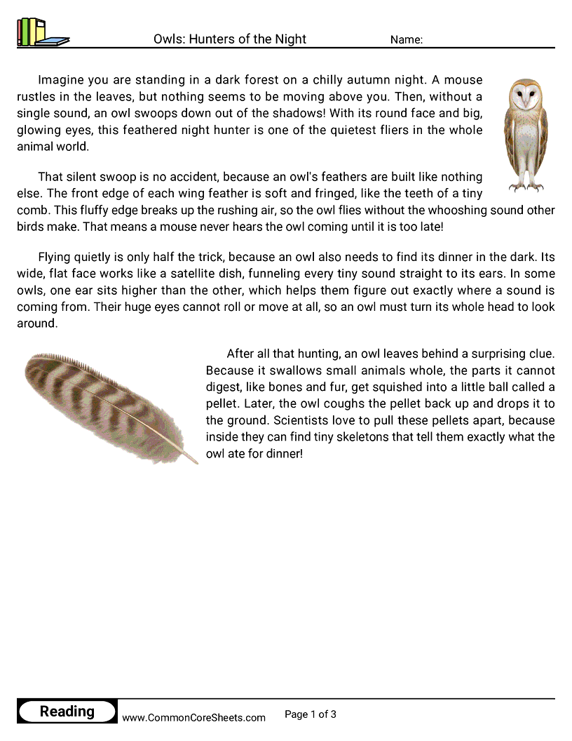 3rd Grade 31 Days of Halloween Reading - Owls: Hunters of the Night worksheet