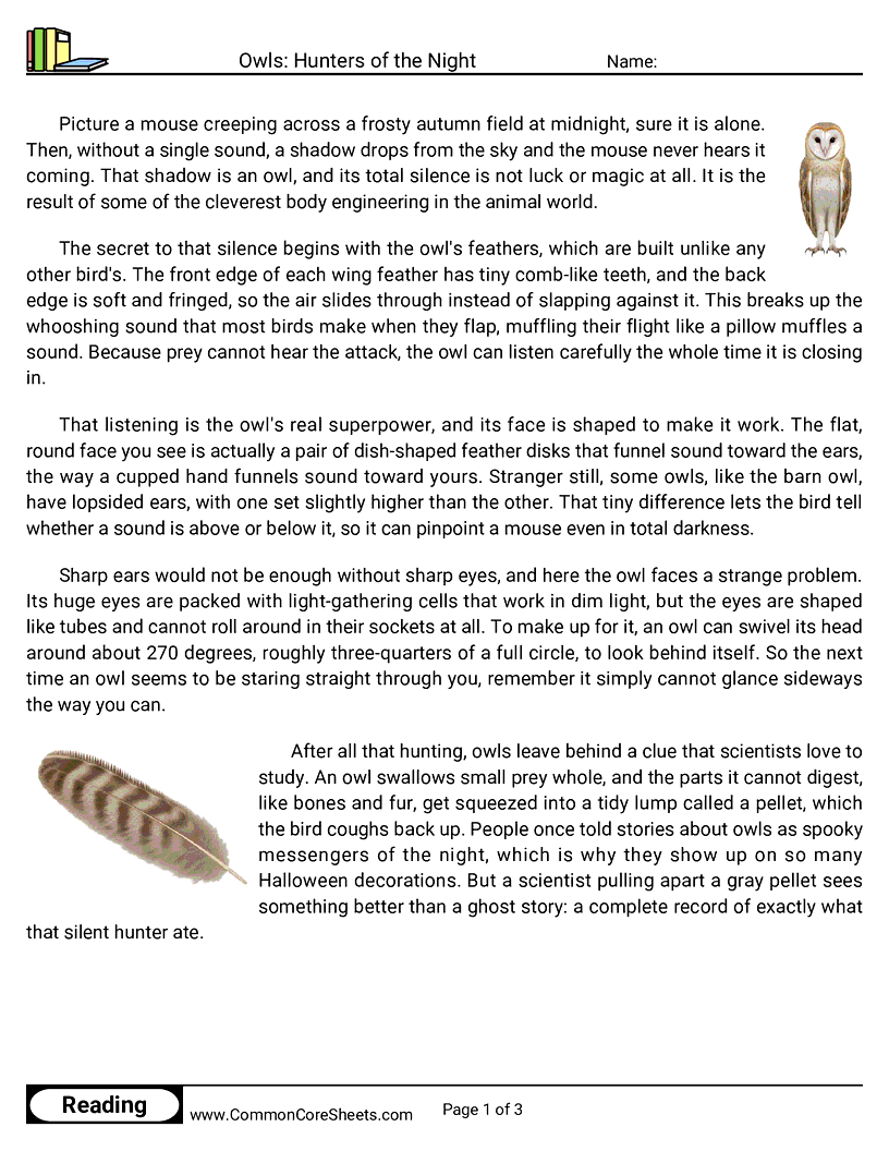 5th Grade 31 Days of Halloween Reading - Owls: Hunters of the Night worksheet