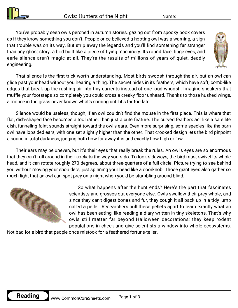 6th Grade 31 Days of Halloween Reading - Owls: Hunters of the Night worksheet