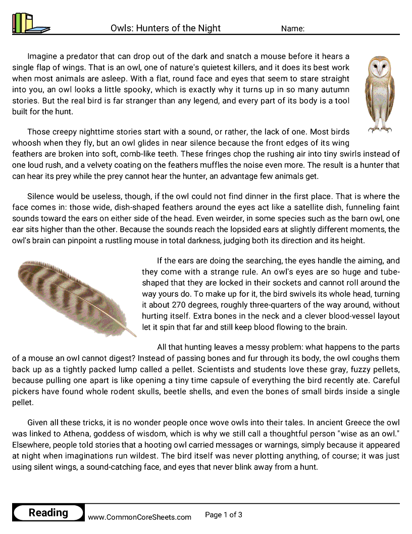 7th Grade 31 Days of Halloween Reading - Owls: Hunters of the Night worksheet