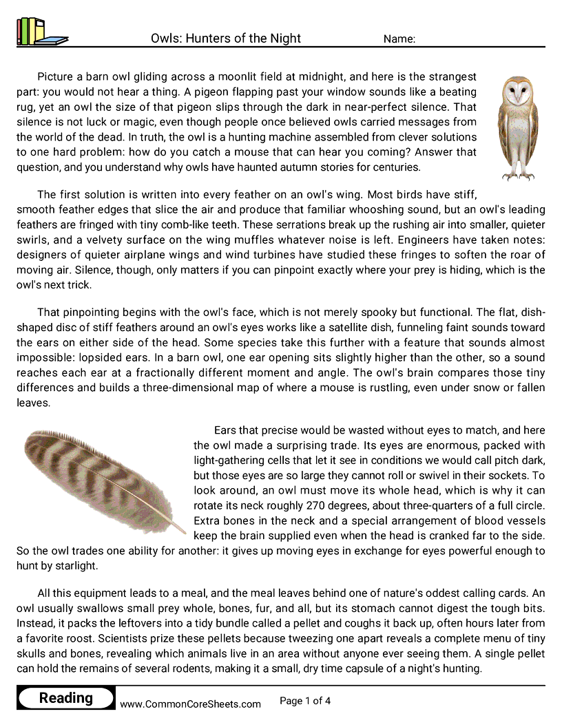 8th Grade 31 Days of Halloween Reading - Owls: Hunters of the Night worksheet
