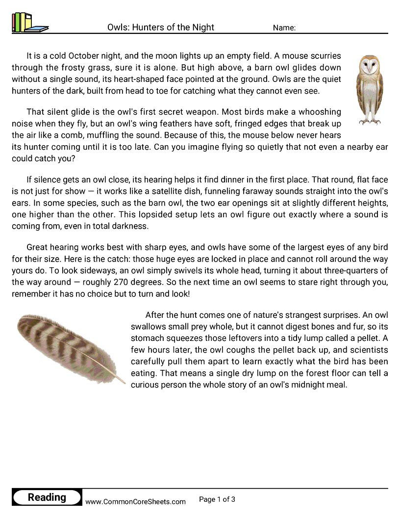 31 Days of Halloween Reading - Owls: Hunters of the Night worksheet