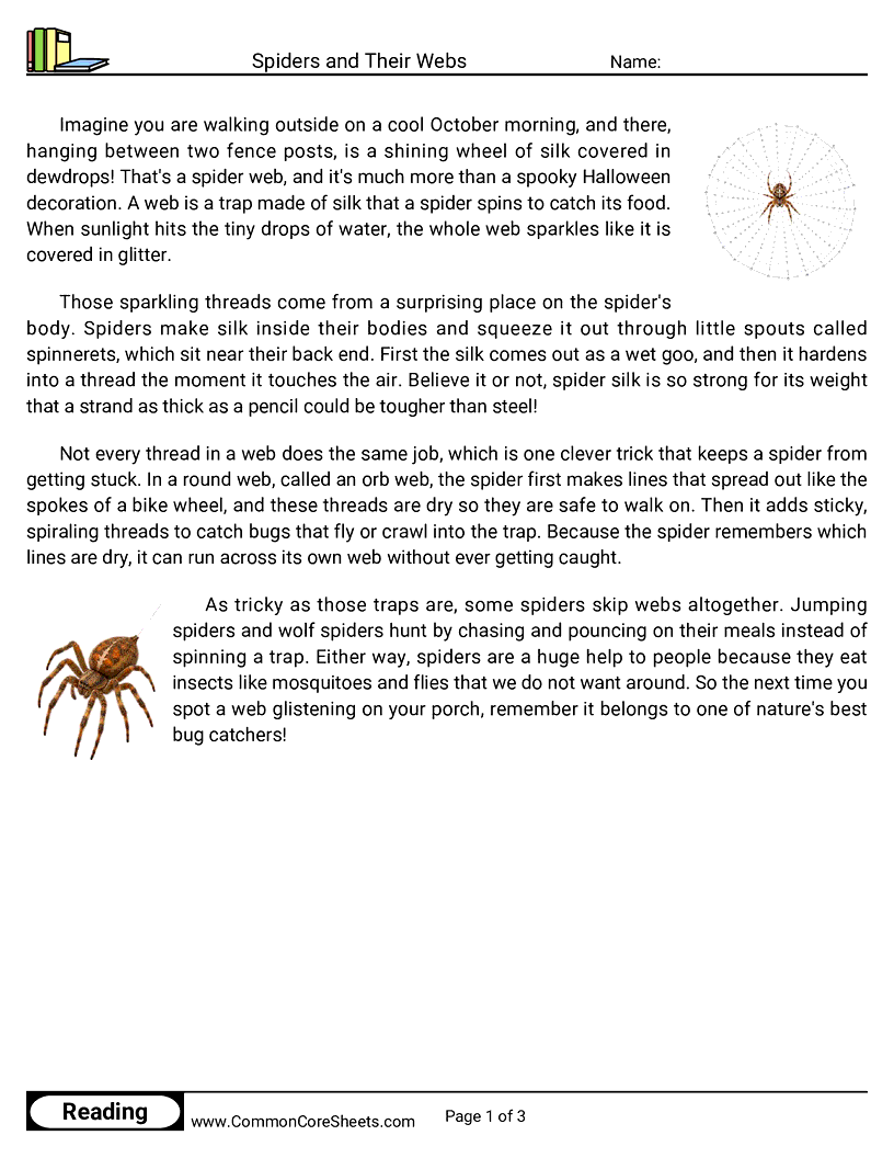 3rd Grade 31 Days of Halloween Reading - Spiders and Their Webs worksheet
