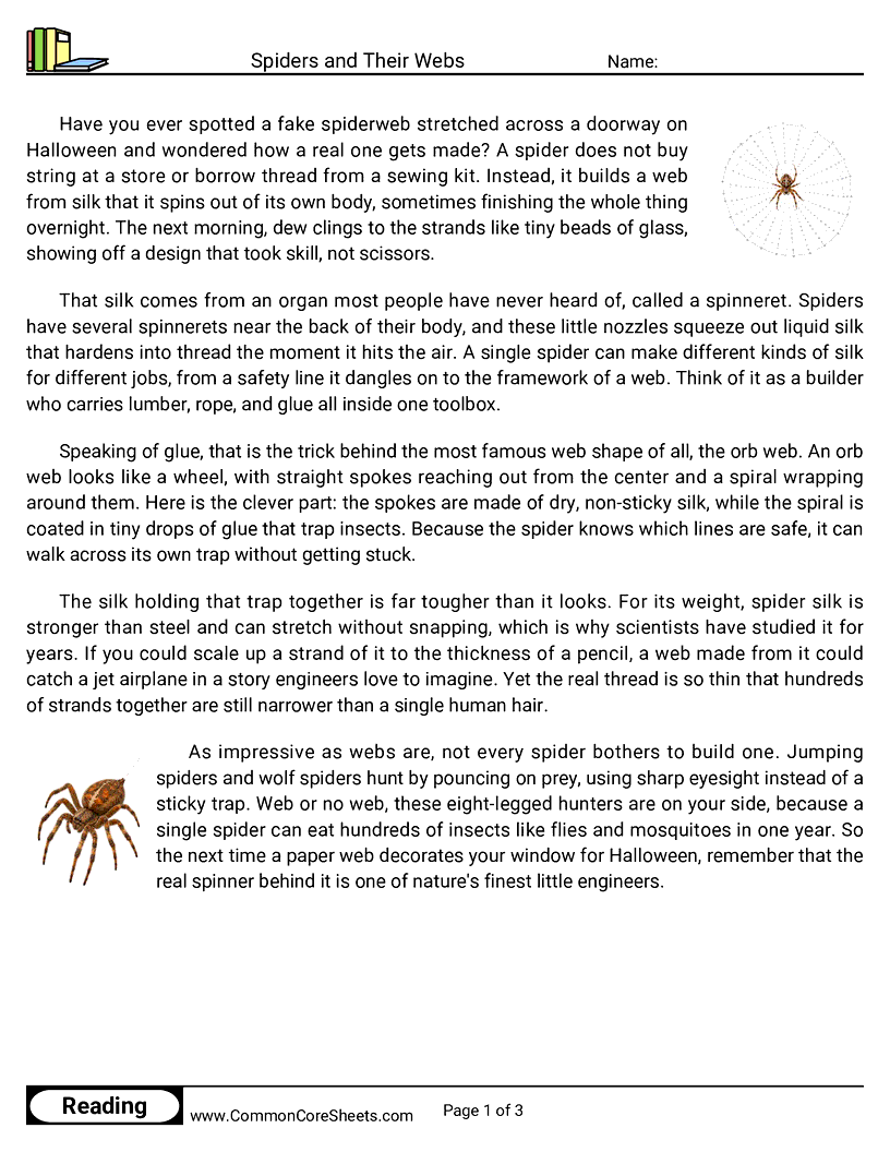 5th Grade 31 Days of Halloween Reading - Spiders and Their Webs worksheet