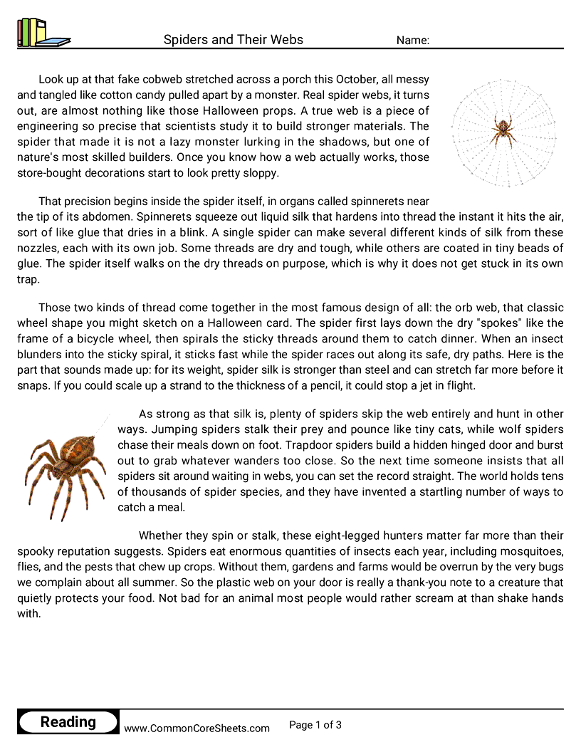 6th Grade 31 Days of Halloween Reading - Spiders and Their Webs worksheet