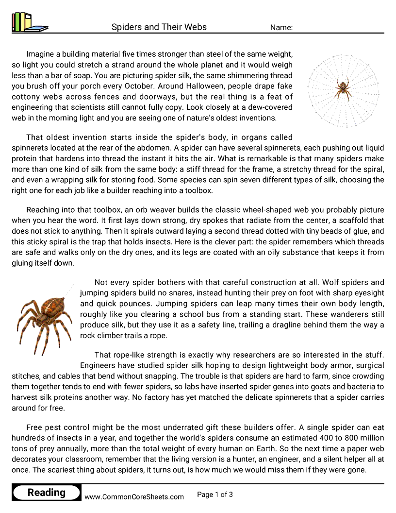 7th Grade 31 Days of Halloween Reading - Spiders and Their Webs worksheet