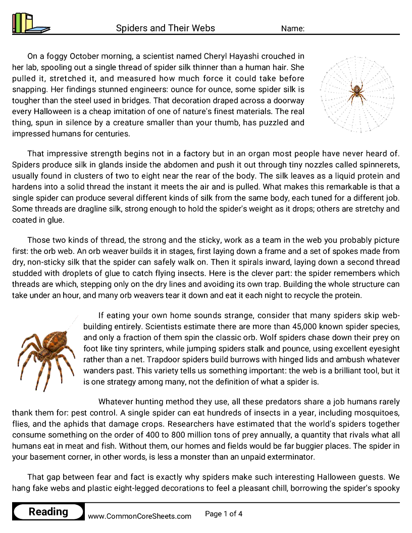 8th Grade 31 Days of Halloween Reading - Spiders and Their Webs worksheet