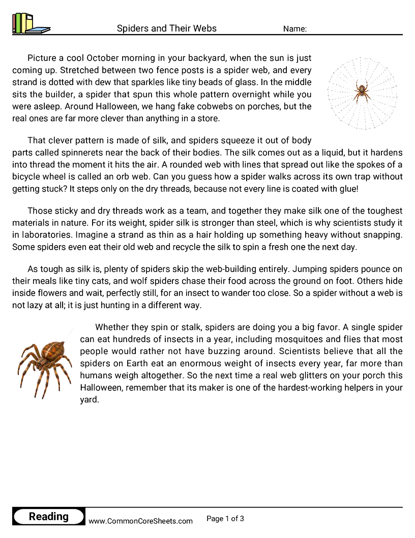 31 Days of Halloween Reading - Spiders and Their Webs worksheet