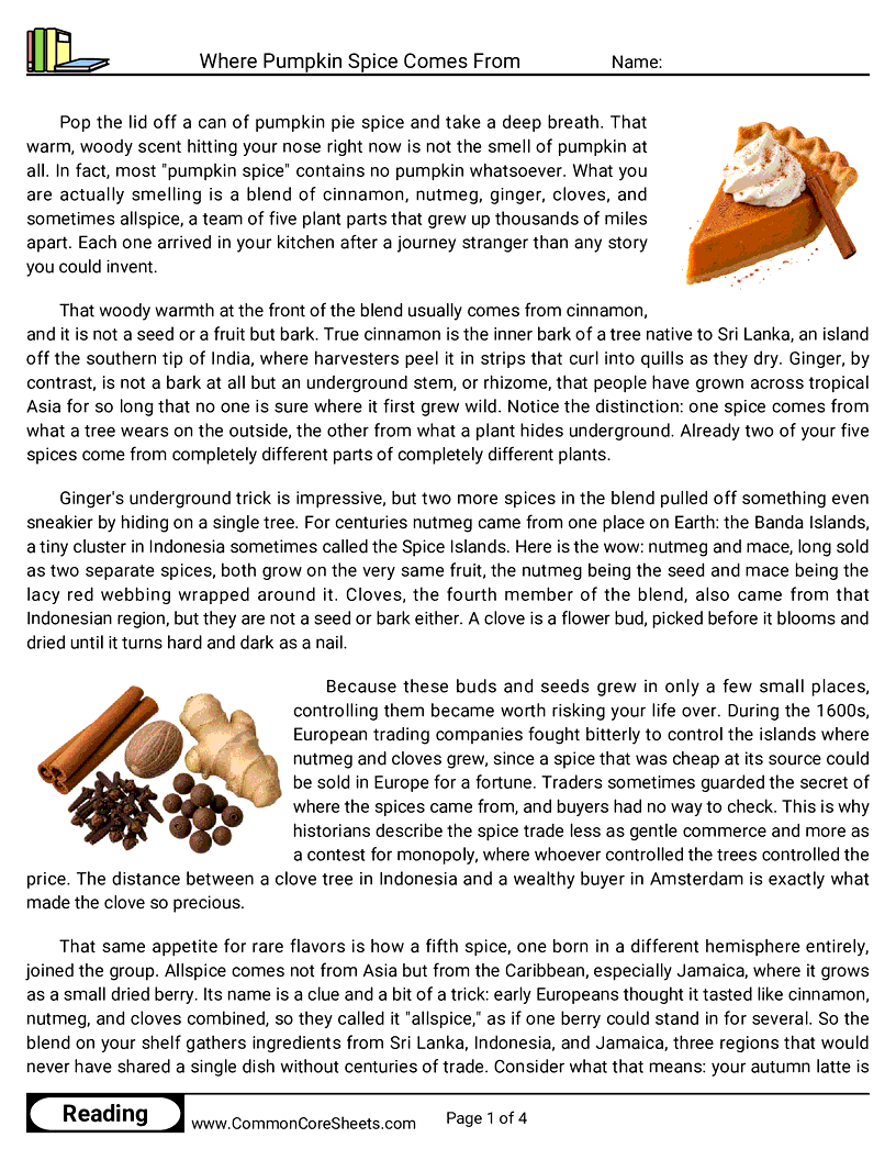 8th Grade 31 Days of Halloween Reading - Where Pumpkin Spice Comes From worksheet