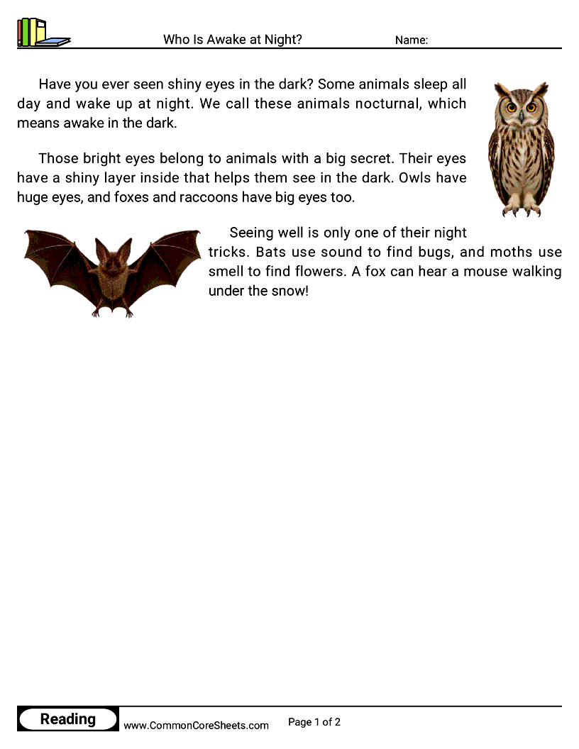 1st Grade 31 Days of Halloween Reading - Who Is Awake at Night? worksheet