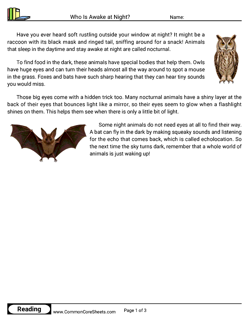 2nd Grade 31 Days of Halloween Reading - Who Is Awake at Night? worksheet