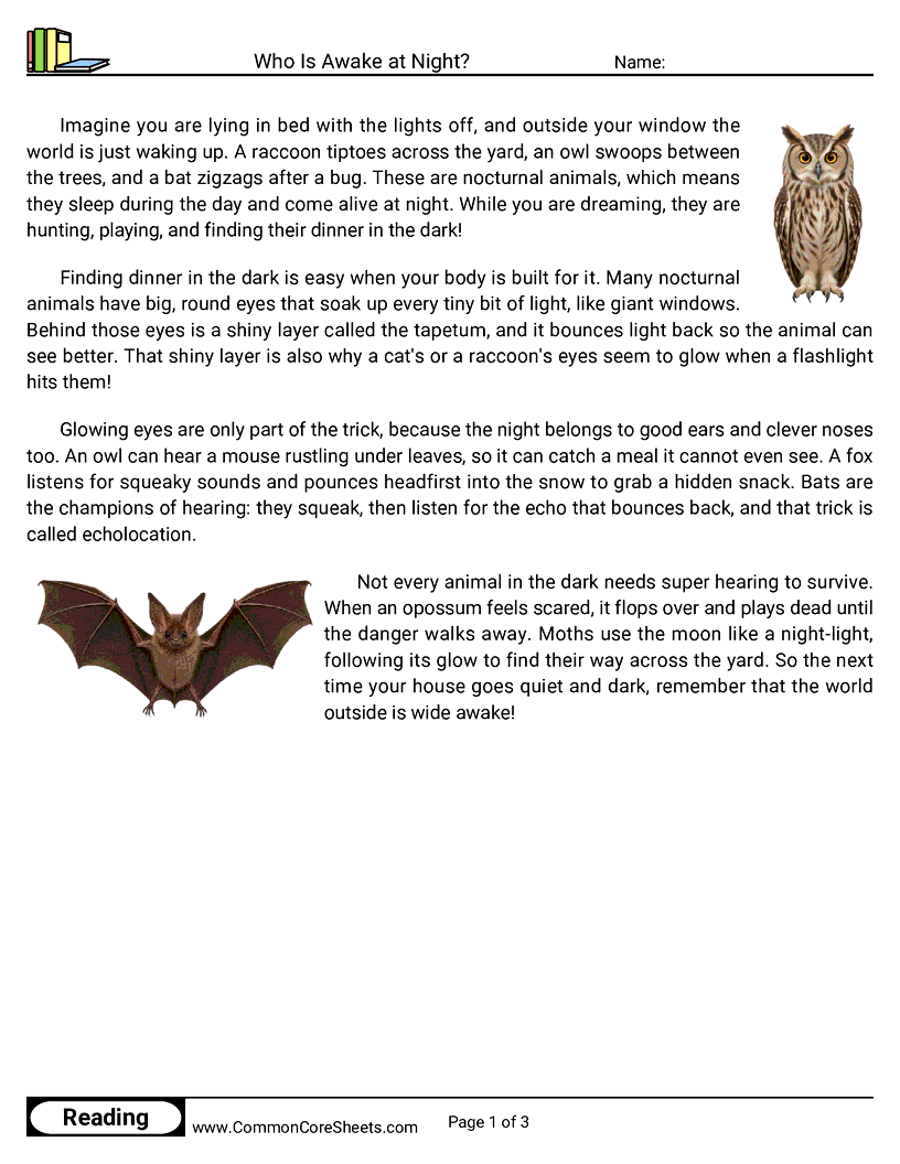 3rd Grade 31 Days of Halloween Reading - Who Is Awake at Night? worksheet