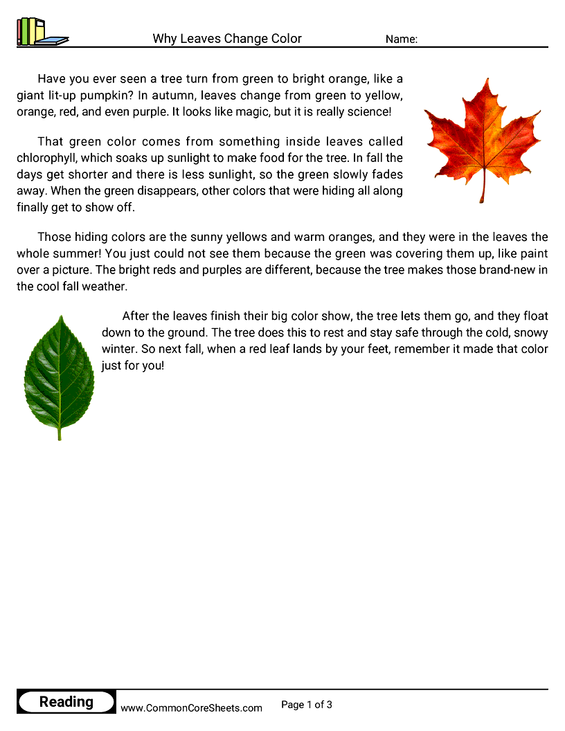 2nd Grade 31 Days of Halloween Reading - Why Leaves Change Color worksheet