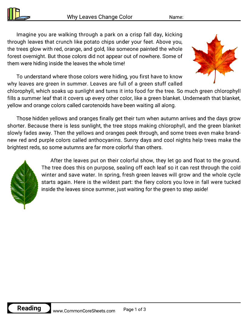 3rd Grade 31 Days of Halloween Reading - Why Leaves Change Color worksheet