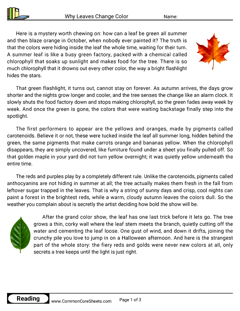 5th Grade 31 Days of Halloween Reading - Why Leaves Change Color worksheet