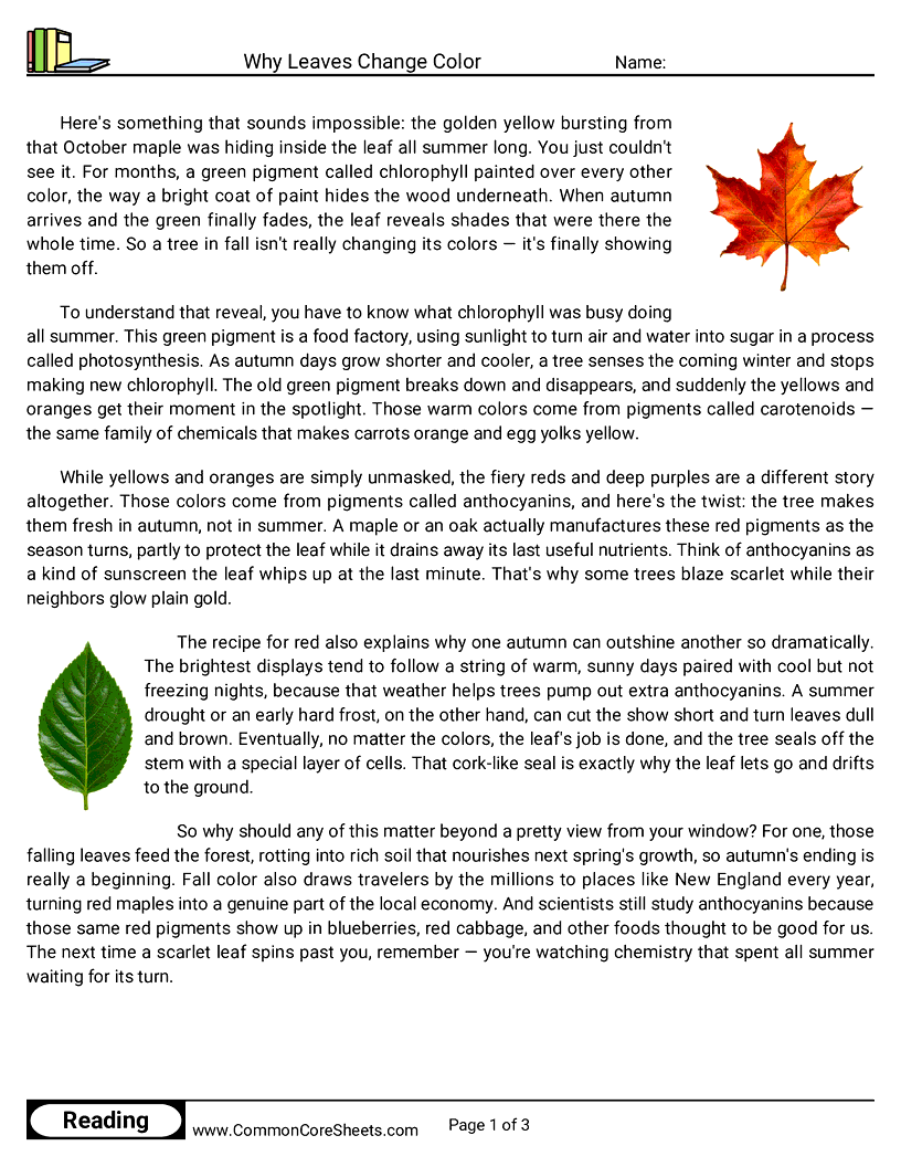 6th Grade 31 Days of Halloween Reading - Why Leaves Change Color worksheet