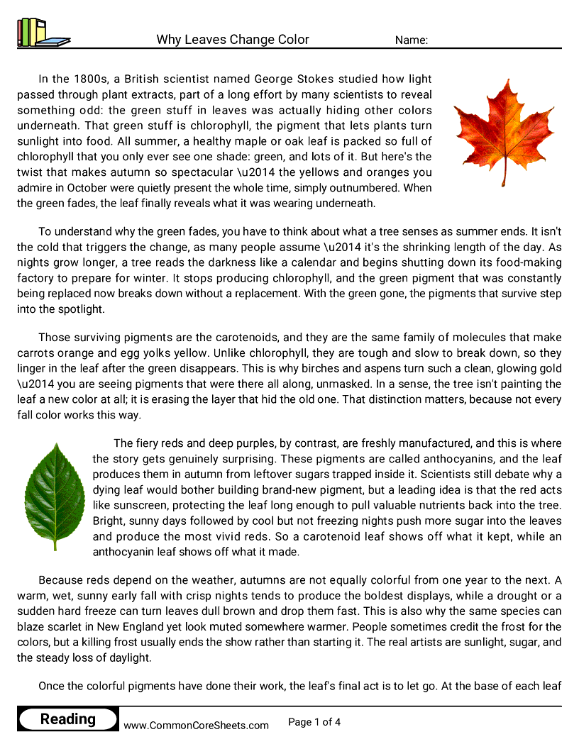 8th Grade 31 Days of Halloween Reading - Why Leaves Change Color worksheet