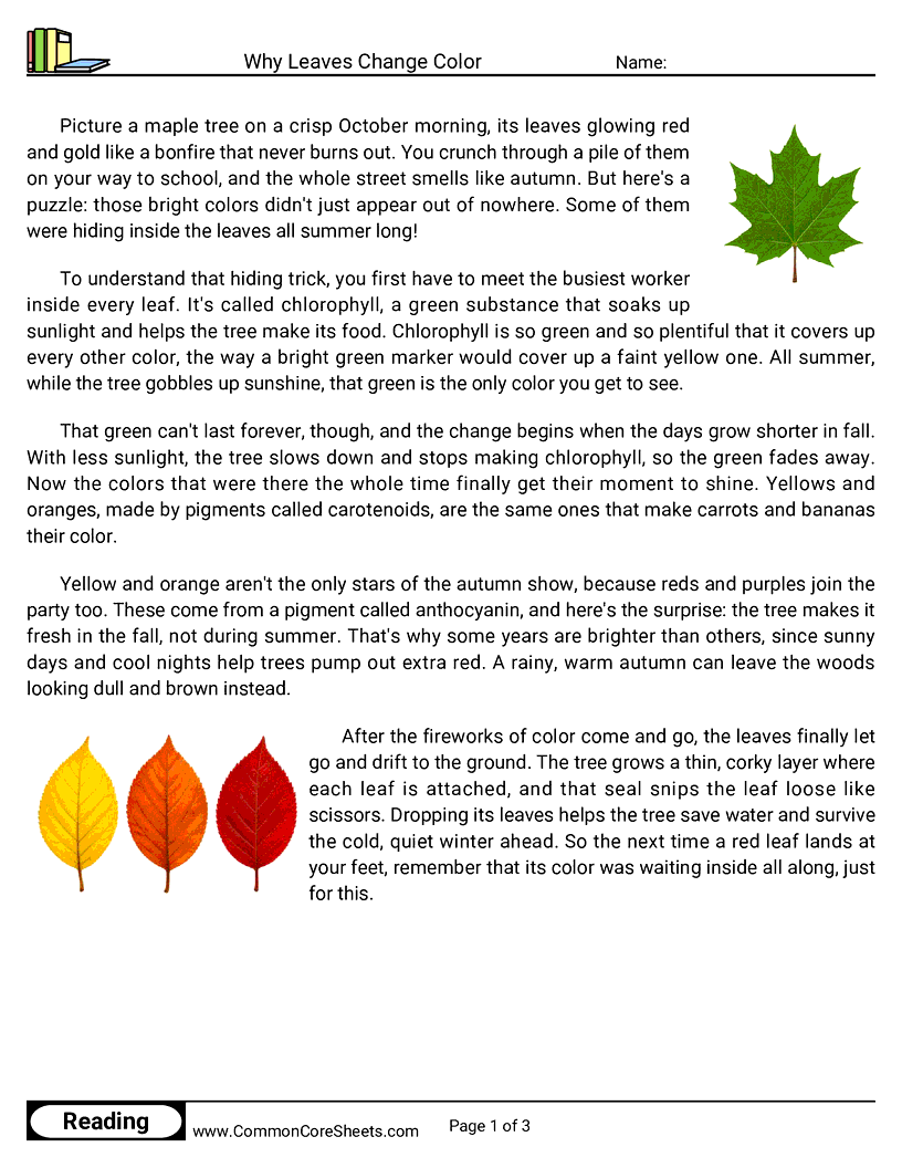 31 Days of Halloween Reading - Why Leaves Change Color worksheet