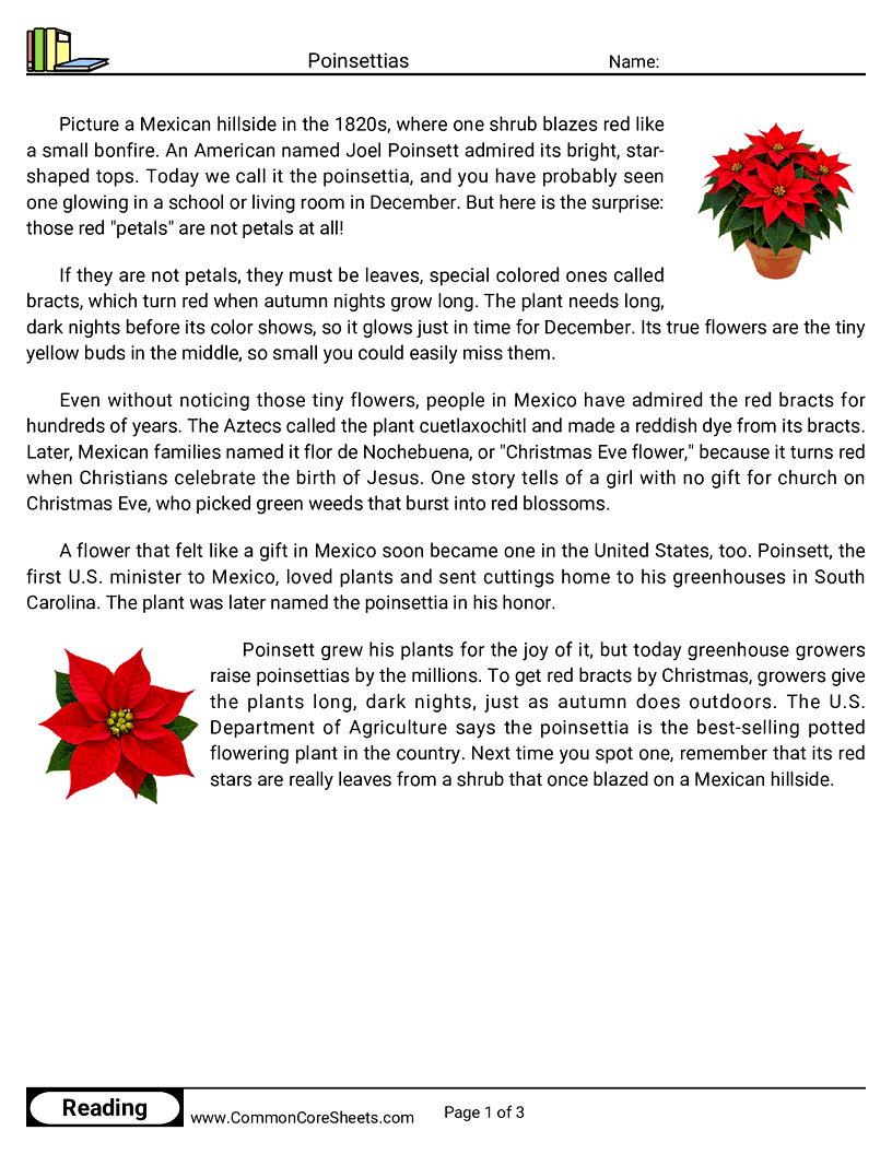 Poinsettias worksheet preview