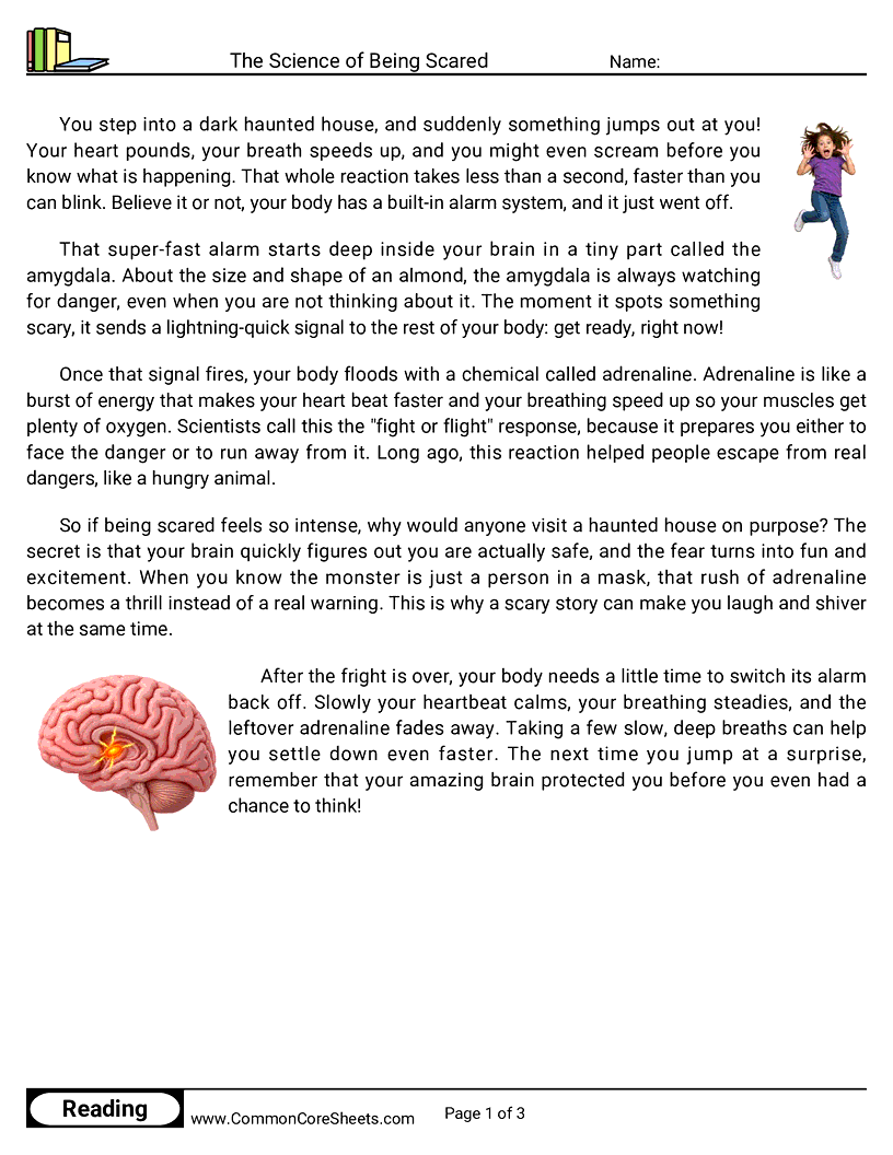Related worksheet