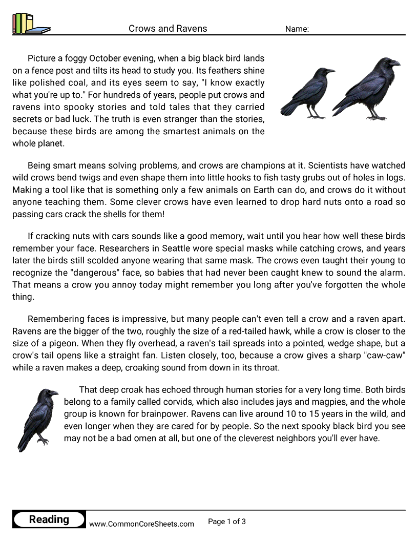 Related worksheet