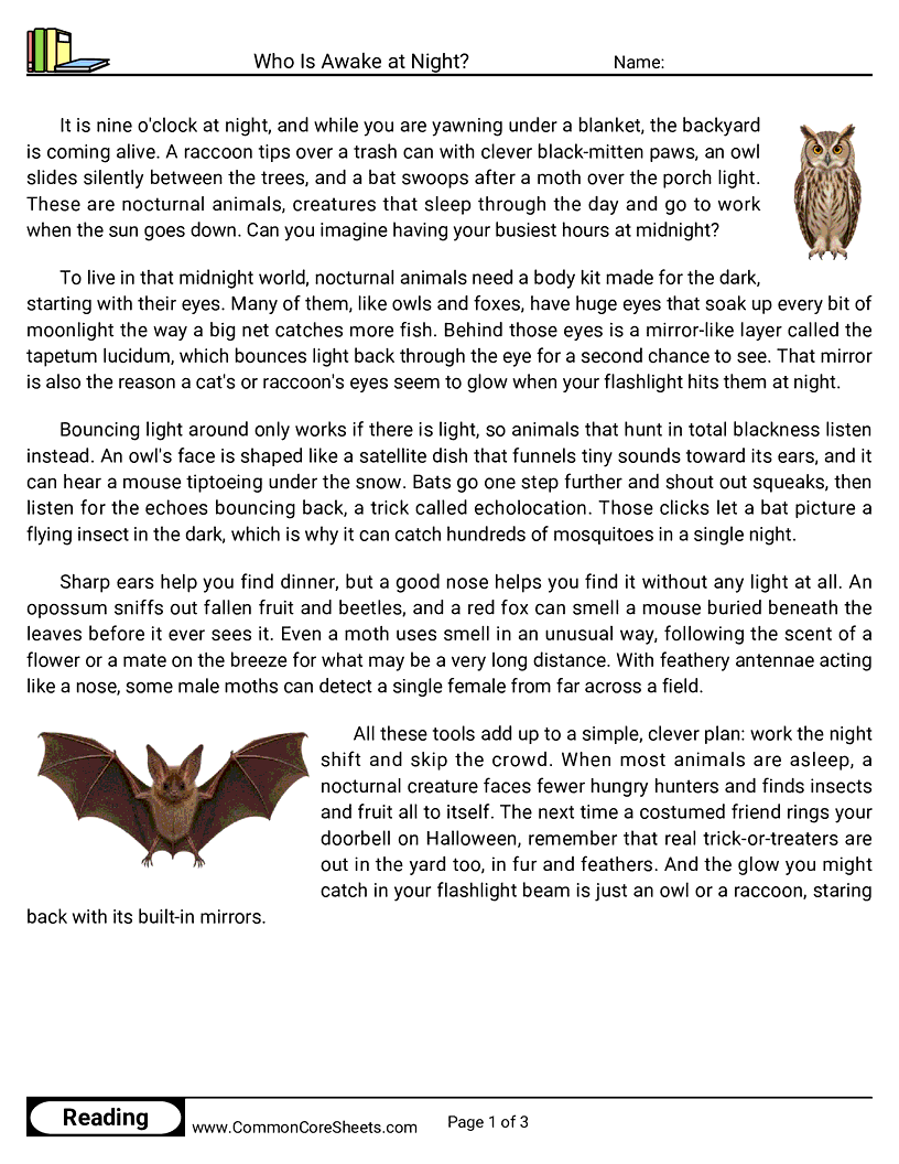 Related worksheet