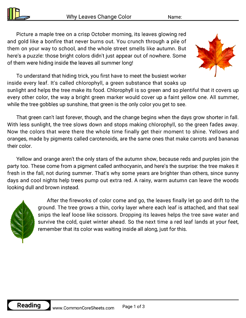 Related worksheet