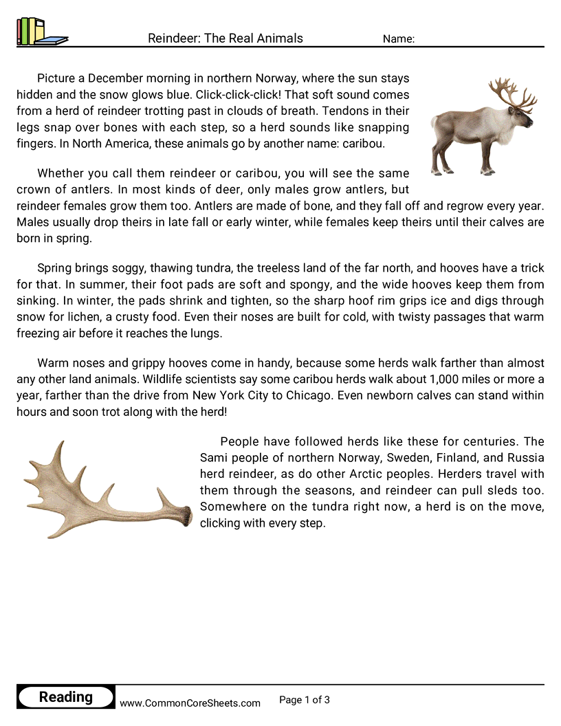 Related worksheet